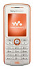 Sony Ericsson SONYERICSSON W200i